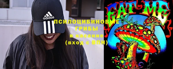 ECSTASY Гусев
